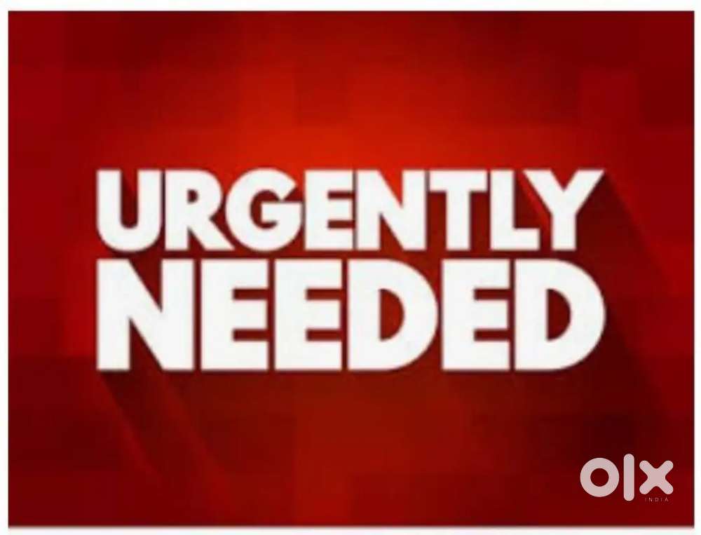 URGENT HIRING FRESHER'S FOR WRITING