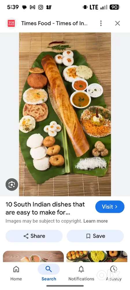 South Indian food jisko sab kaam aata ho contact me