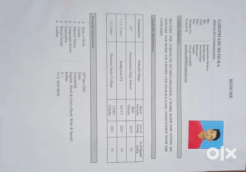 Home work job