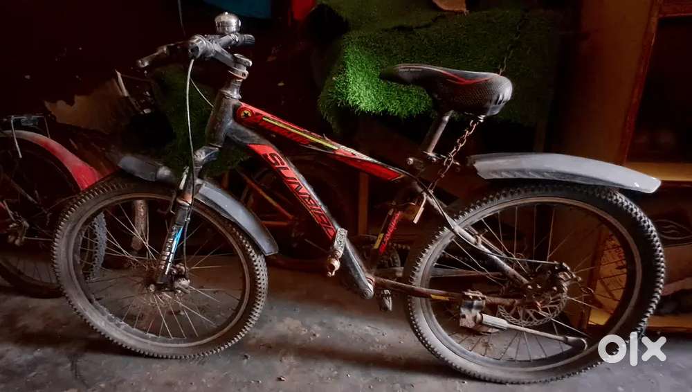 Sunbrid bicycle
