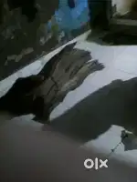 कोई भी काम मिल जाए