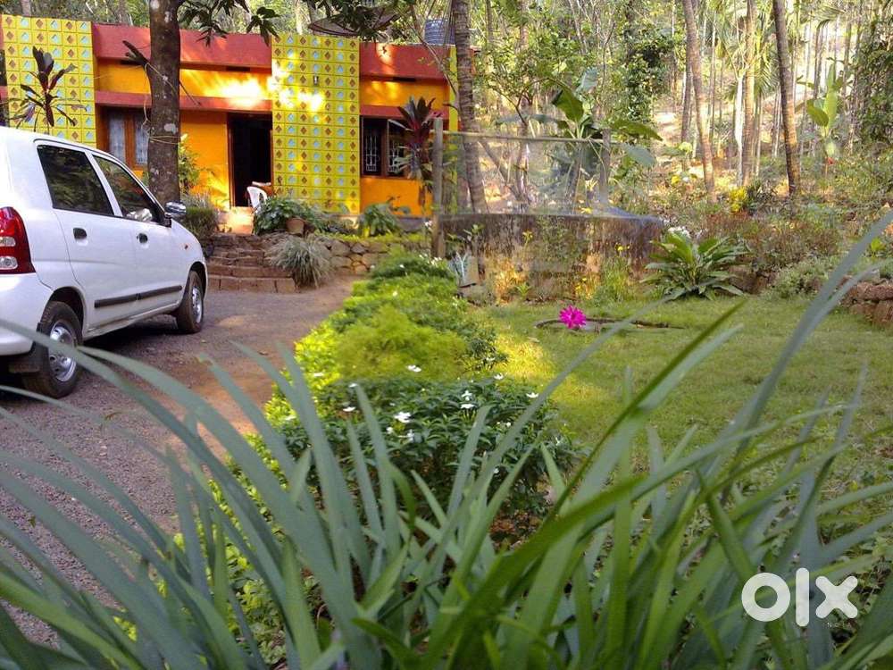 50 Cent Farm Plot with House for Sale