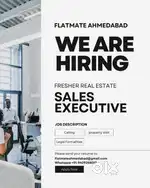 Real esate sales executive