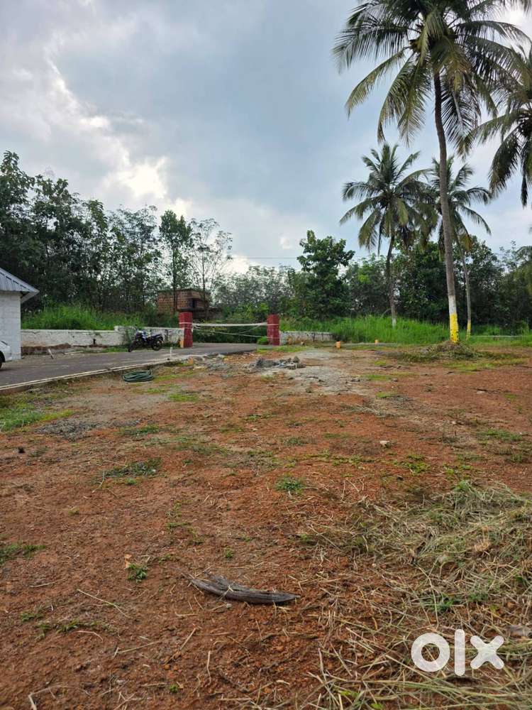 8 cent plot for sale in Viyyakurissi, Palakkad