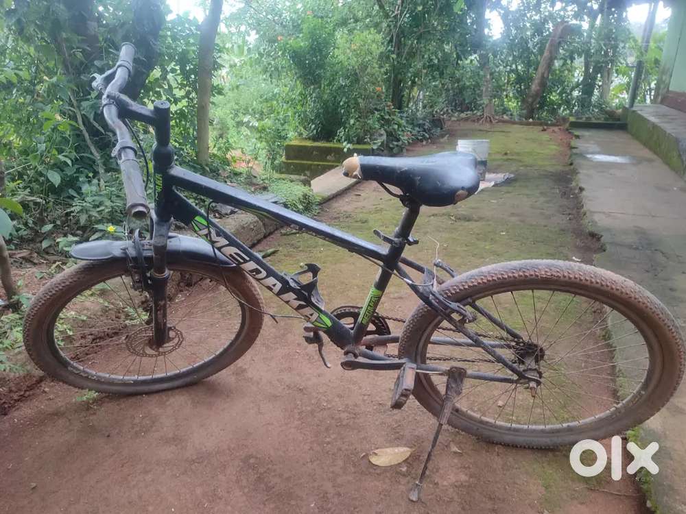 1000₹ ,Medaka (UK Company)