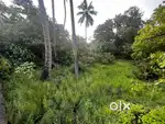 House plot for sale at mulavukad Kochi 16 cent