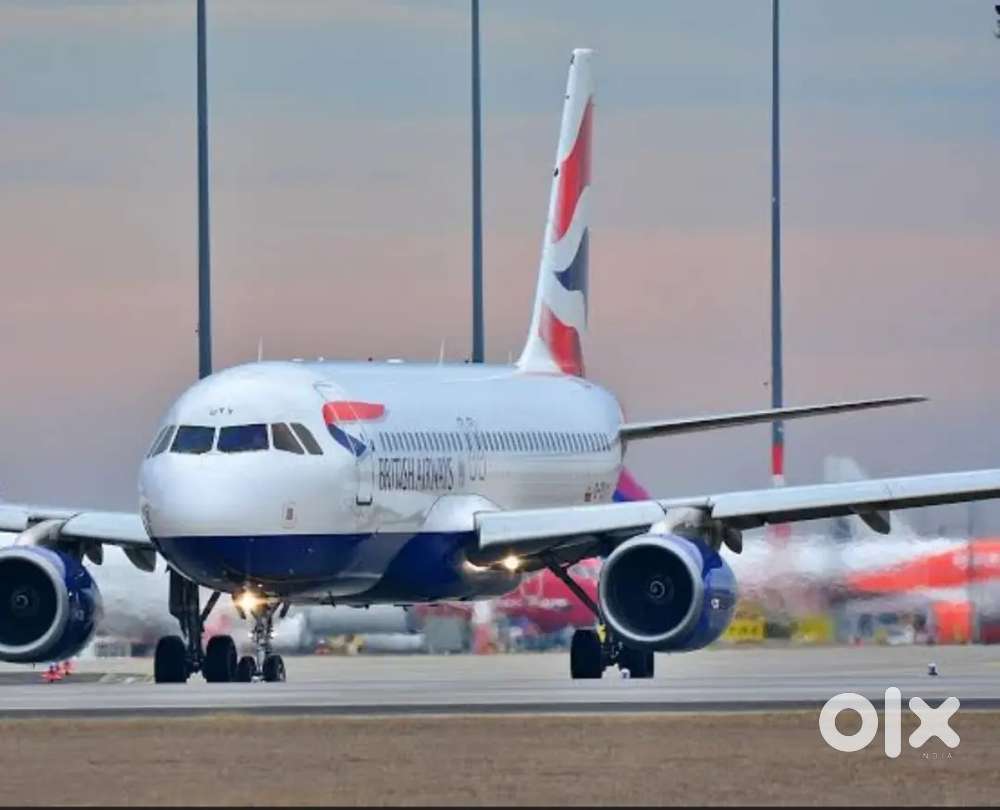 Candidate required for airport ground staff