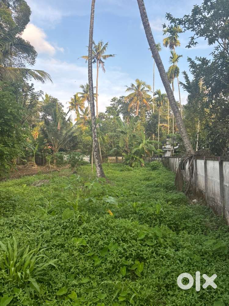 10 cent plot at Gothuruth,North Paravur