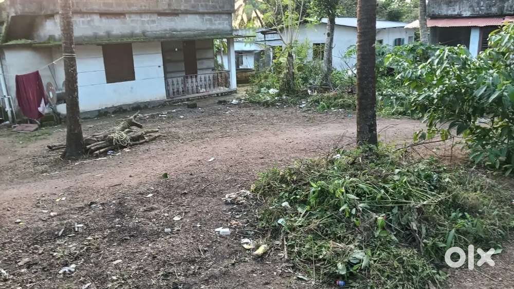 5 cent land for sale very low price budget plot