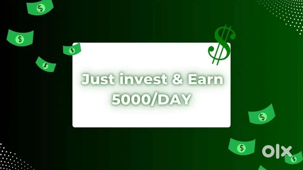 Invest & Earn