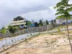 Secure your plot today