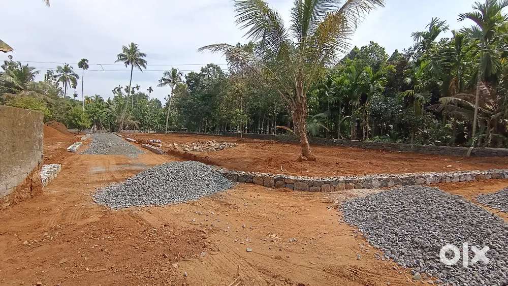 ANGAMALY  KARUKUTTY NEAR BY 4,5,6,8,CENT PLOTS AVAILABLE