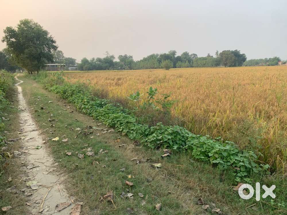 Commercial and agricultural plot ..on road near 20 meter from NH-27