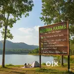 Plots are available