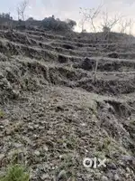 Farming/agriculture land 97 karnal (rate 65000 per karnal)