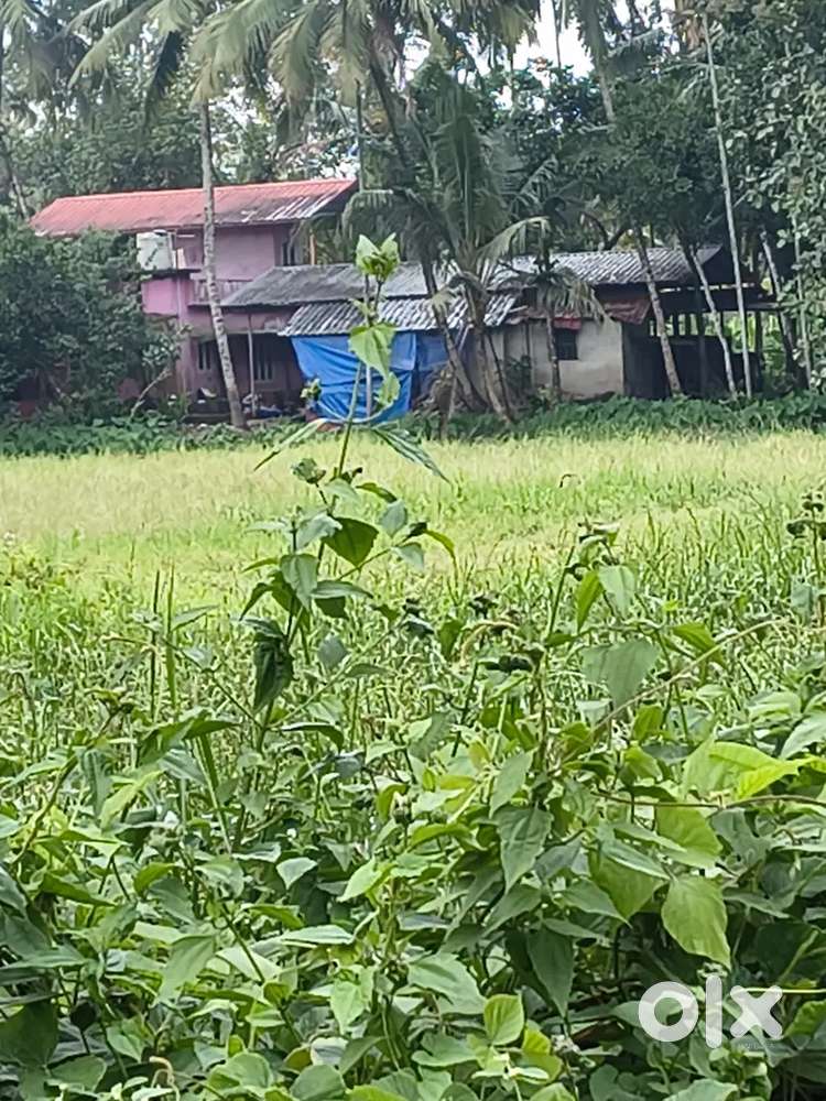 Land for sale ALA chengannur