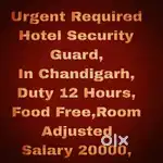 Security Jobs chandigarh 51