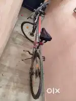 Sports cycle