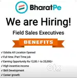 Bharat pe Field sales executive darakar urgent hiring