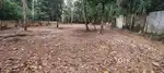 23 Cent land Kureepuzha Near Sacred Heart School busroute
