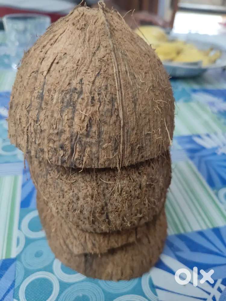 Coconut shell for sale. Around 300 pieces