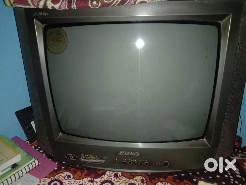 TELEVISION TV