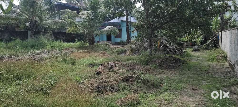 Plot for sale Eramalloor