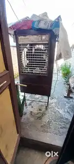 Best cooler for home big Cooler