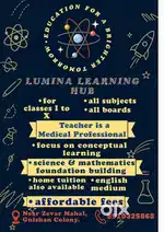 Private as well as online tutor.