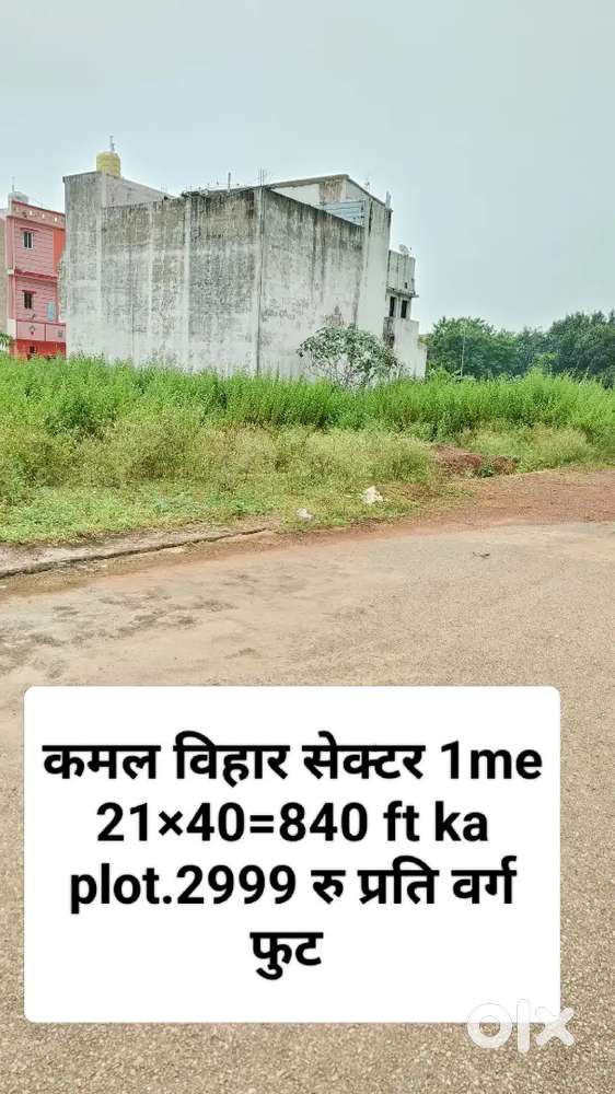 कमल विहार सेक्टर 1 में  plot