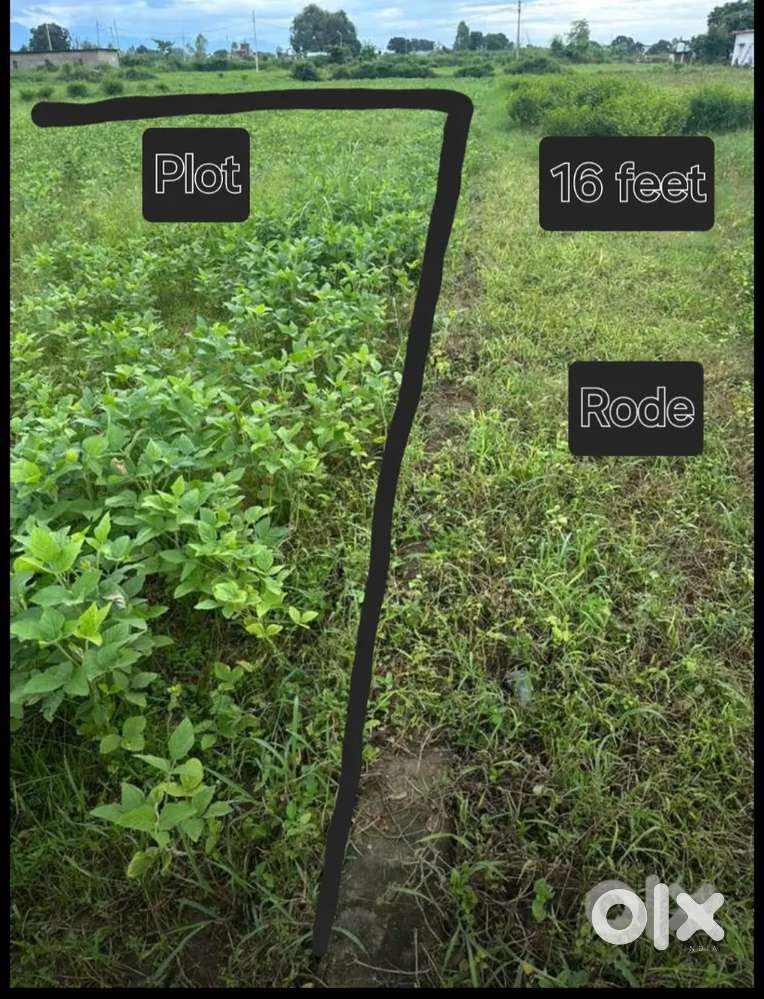 You can buy according to your need like 2000 sqf or 3000