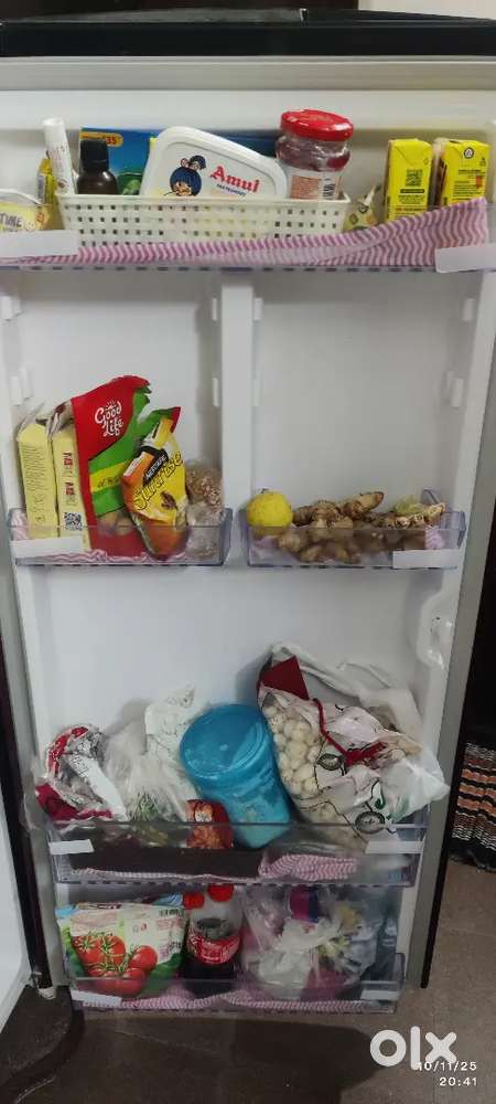 Only 10month Old Fridge