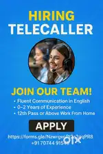 Telecaller (Work from Home)