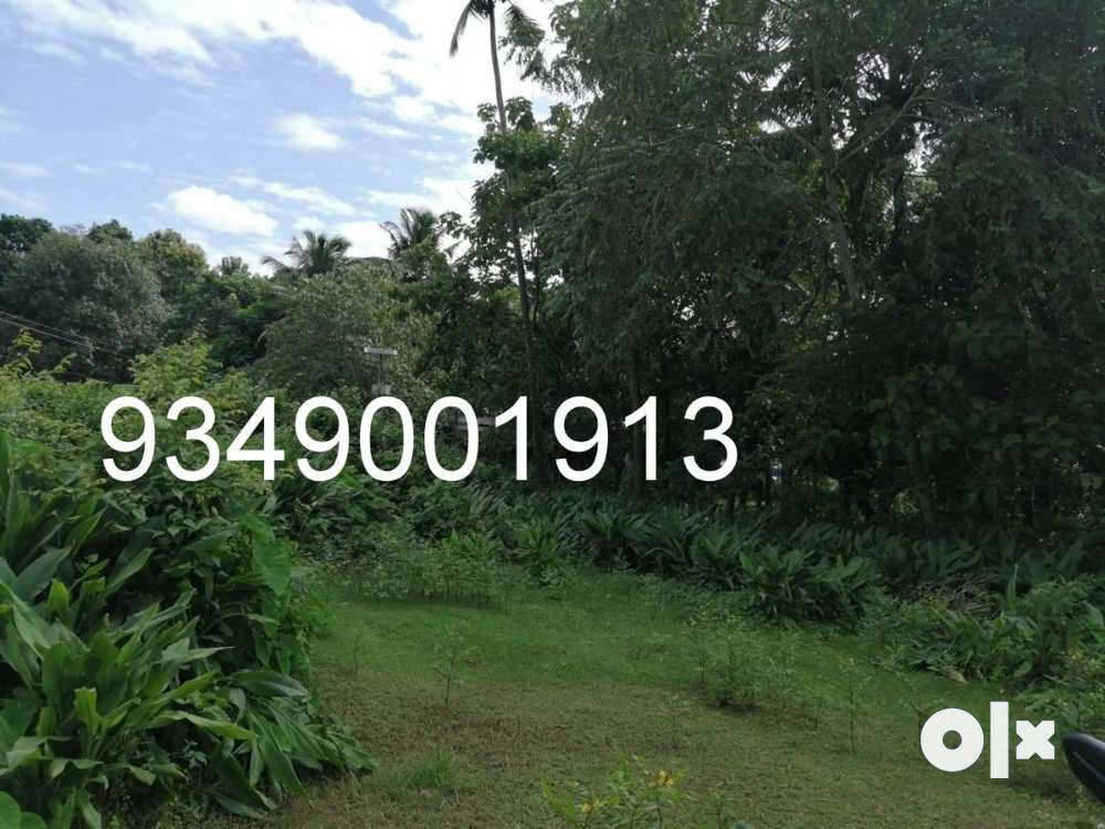 10,15,20,25,30  cent plot near Pullur Urakam Irinjalakuda Thrissur