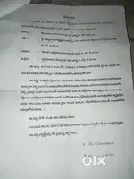 Good luck plan