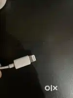 Apple earphone (100% og)
