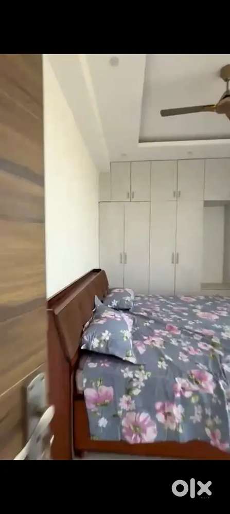 Society flats for rent furnished 3bhk fully furnished aastha city peem