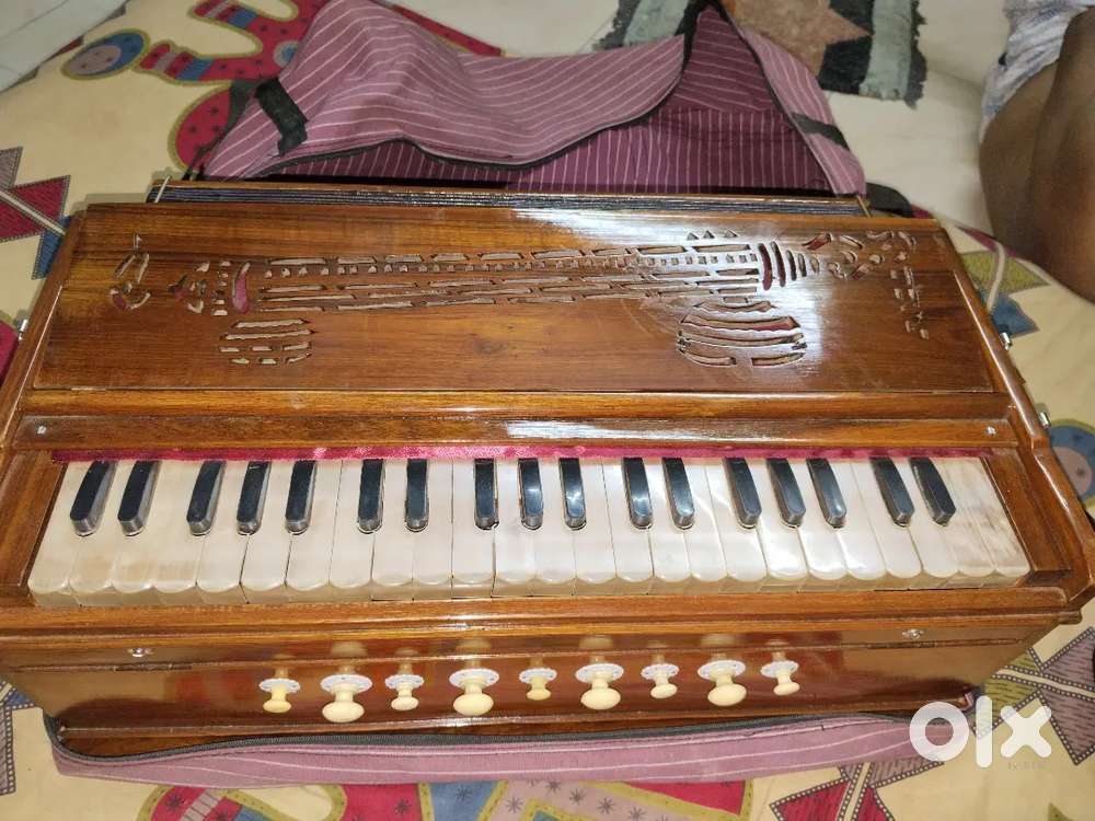 New Harmonium with bag
