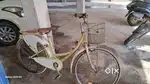 Lady bird cycle