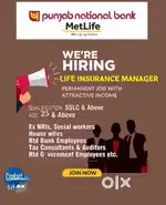 INSURANCE MANAGER