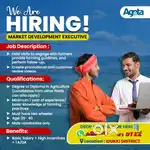Market devolopment executive