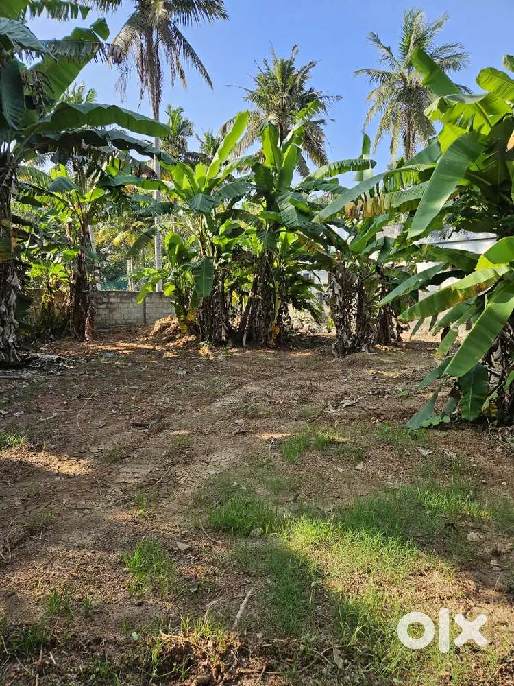 Rent:25,000 Plot area:10cent Near:Koduganoor,Vattiyoorkavu