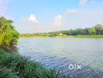 10 acre periyar water front land for sale in kanjoor,near aluva,airpor