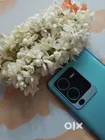 Vivo V25 Pro 5G (256GB)