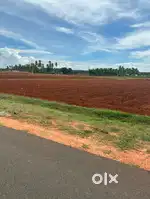1 acer agriculture land for sale