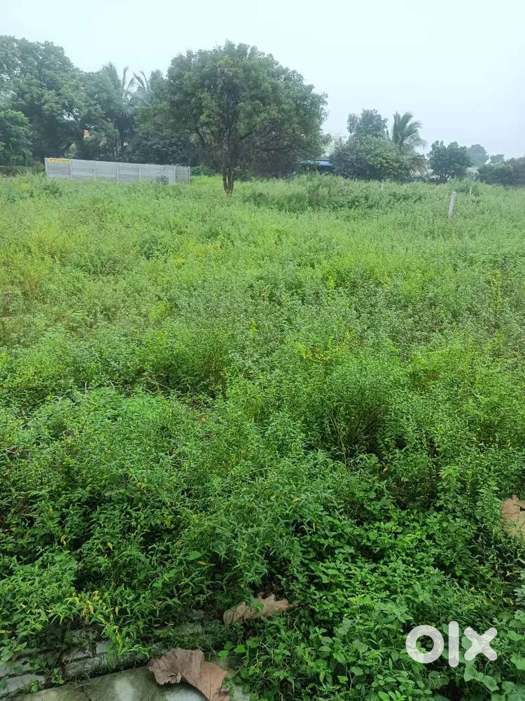 Plot for sale nr Dhanalakshmi engg college nr Doctors nest .Rs 1500000