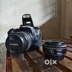 Canon 70D with 40mm prime lens and 10 - 18 wide lens.