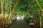 162 mtr plot on 30 MTR road