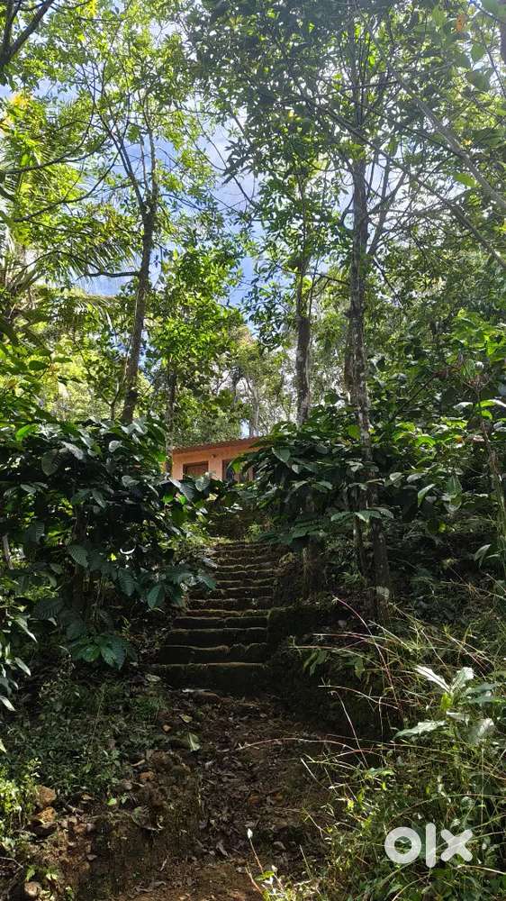 Urgent Sale: 25 Cent Land at Reasonable Price