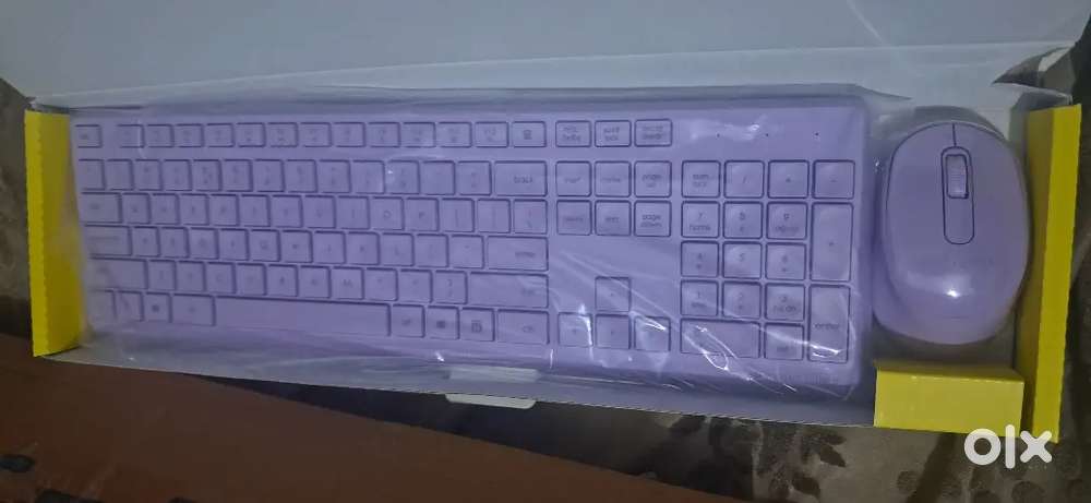 Zebronics Companion 200 Wireless keyboard and mouse combo
